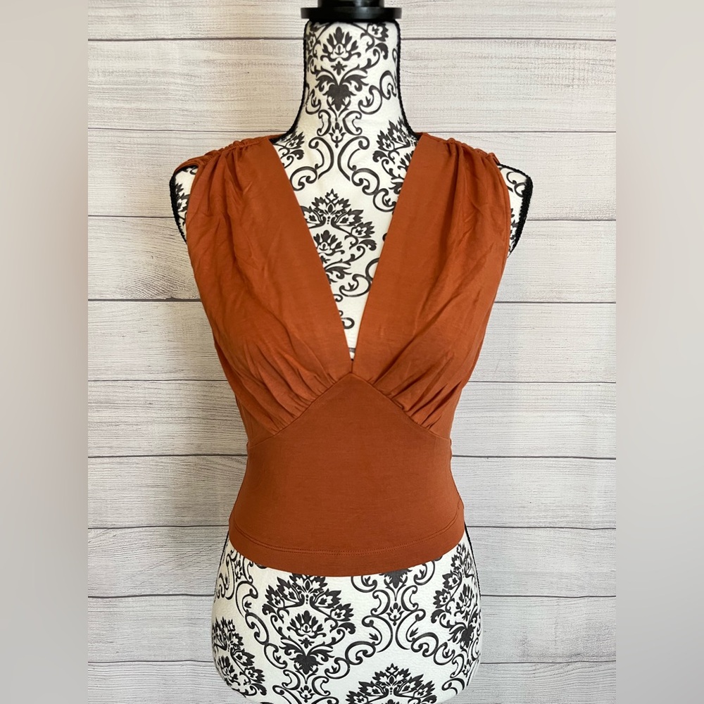 Steve Madden | NWT Janina V-Neck Sienna Crop Top
